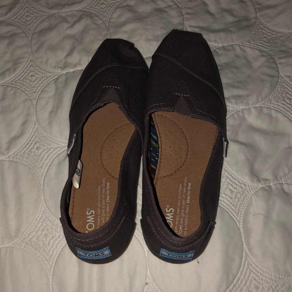 Grey Toms Shoes